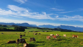 Idyllische Designer-Apartments am Bio-Bauernhof in SalzburgerSeenland Schmiding 10